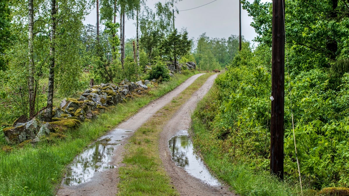 Kuidas saavutada tasakaalustatud eluviisi?